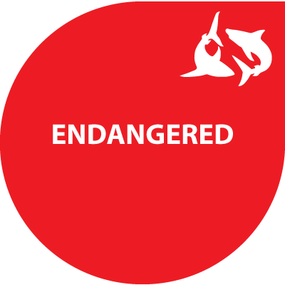 IUCN-endangered