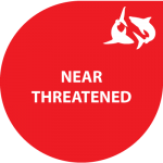 IUCN-nearthreatened